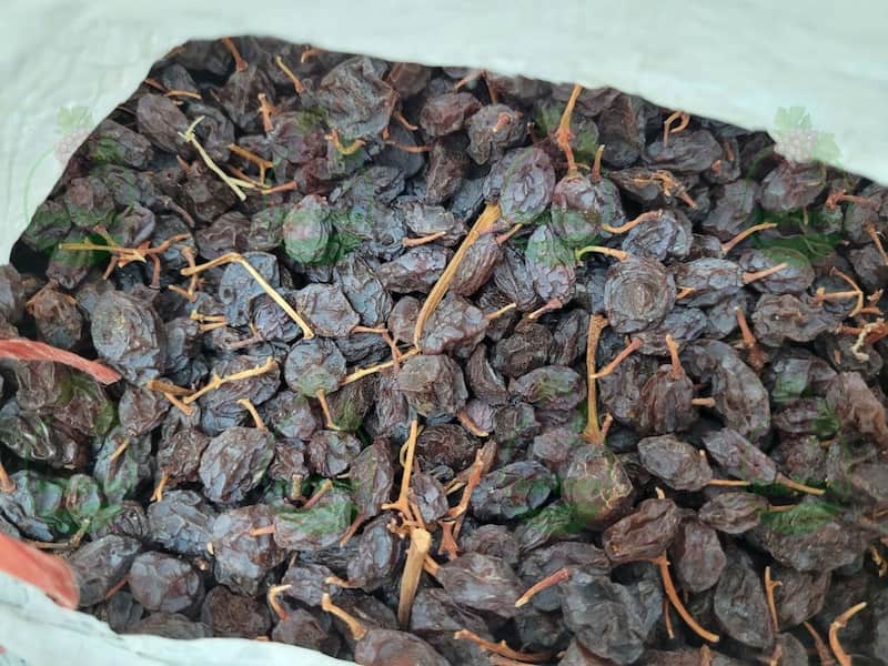 خرید کشمش درشت و گوشتی با نرخ خوب
