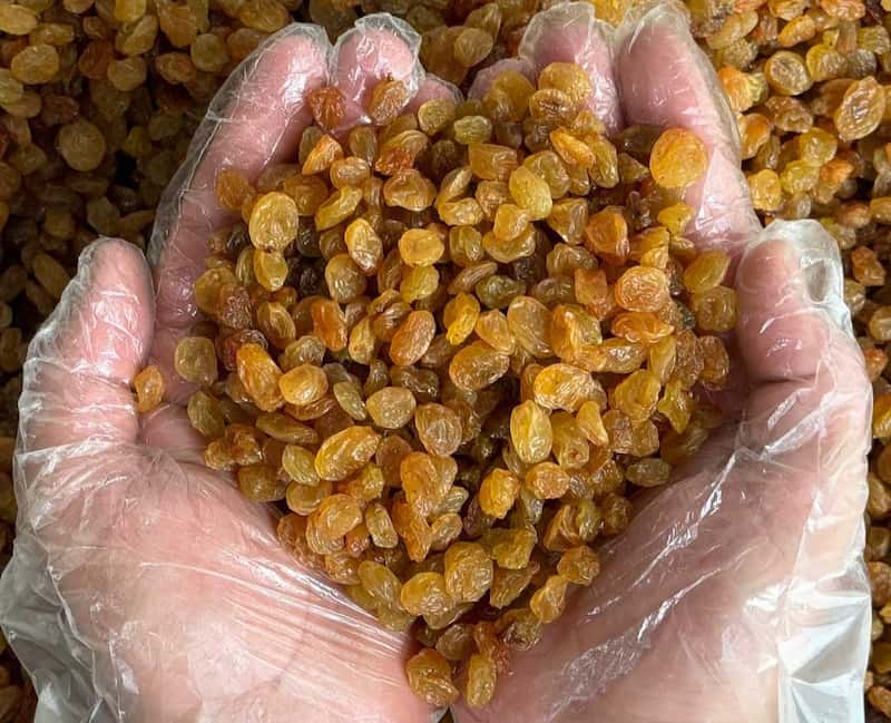 فروش انواع کشمش پلویی سیاه در تاکستان