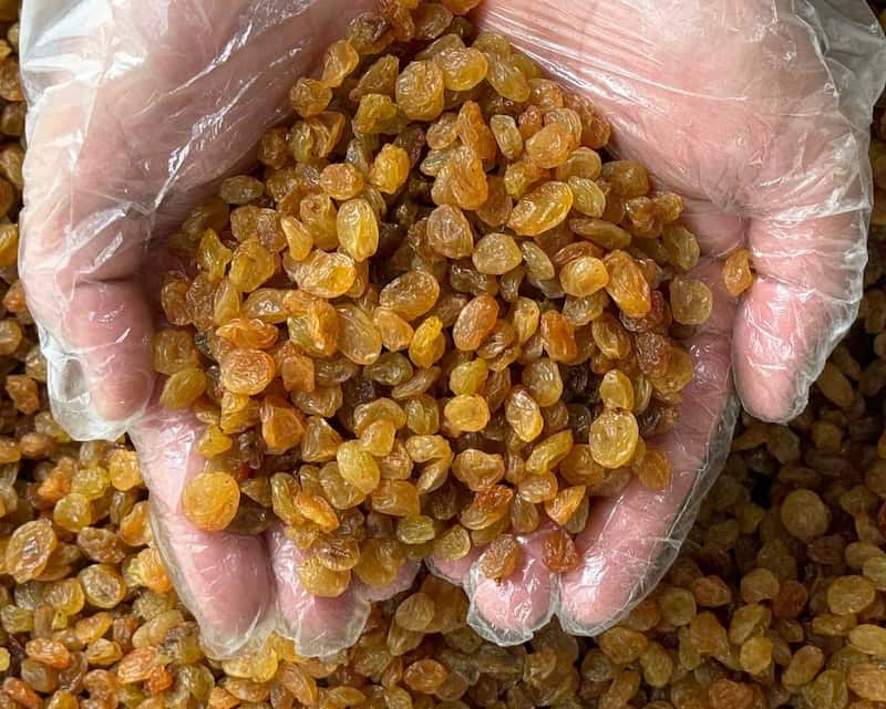 برای تهیه سالاد از چه نوع کشمشی استفاده کنیم؟