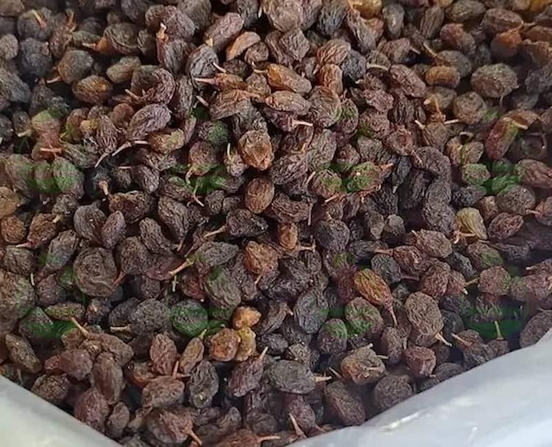 کشمش آبگیری در کرج