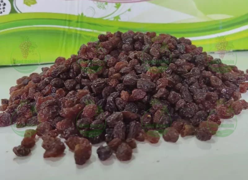 کشمش تاکستان را از کجا خرید کنیم؟