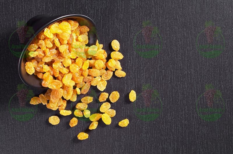 کشمش تاکستان را از کجا خرید کنیم؟