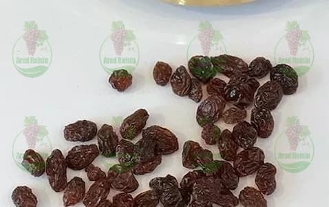 بهترین کشمش آفتابی برای خرید